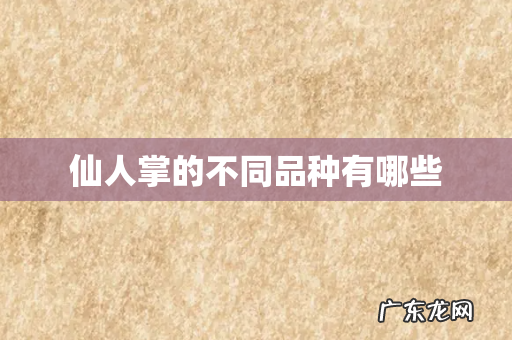 仙人掌的不同品种有哪些