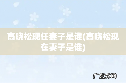 高晓松现在妻子是谁 高晓松现任妻子是谁