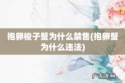 抱卵蟹为什么违法 抱卵梭子蟹为什么禁售