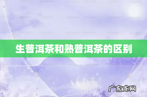 生普洱茶和熟普洱茶的区别