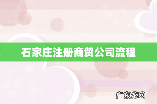 石家庄注册商贸公司流程