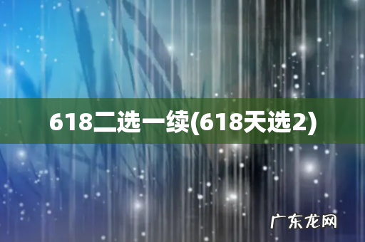 618天选2 618二选一续