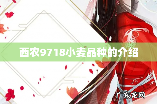 西农9718小麦品种的介绍