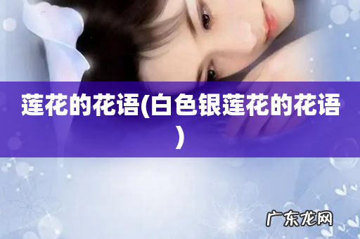 白色银莲花的花语 莲花的花语