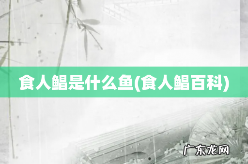 食人鲳百科 食人鲳是什么鱼