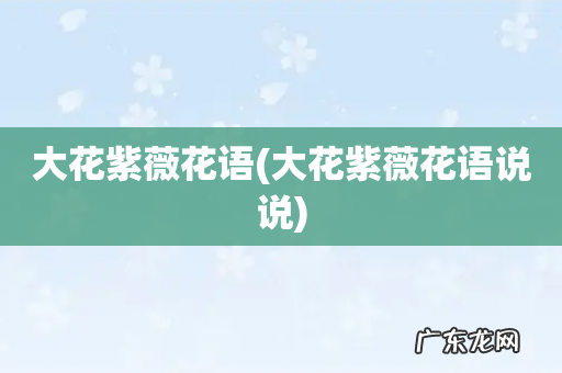 大花紫薇花语说说 大花紫薇花语