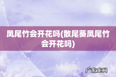 散尾葵凤尾竹会开花吗 凤尾竹会开花吗