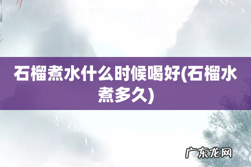 石榴水煮多久 石榴煮水什么时候喝好