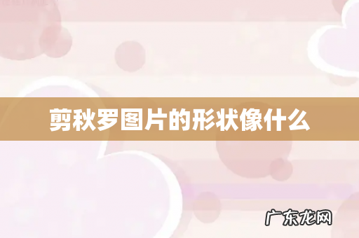 剪秋罗图片的形状像什么