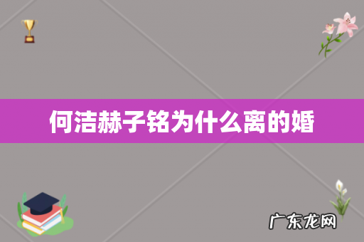 何洁赫子铭为什么离的婚