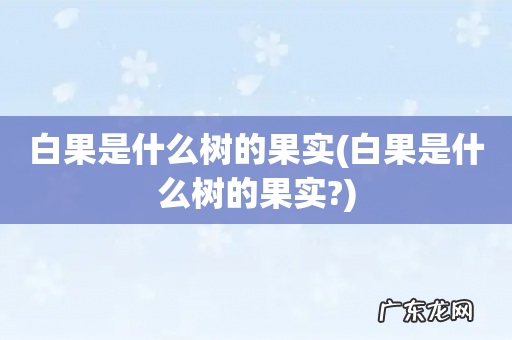 白果是什么树的果实? 白果是什么树的果实
