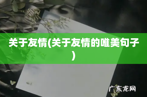 关于友情的唯美句子 关于友情