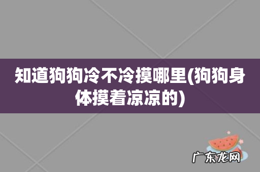 狗狗身体摸着凉凉的 知道狗狗冷不冷摸哪里