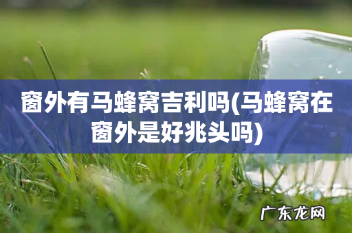 马蜂窝在窗外是好兆头吗 窗外有马蜂窝吉利吗