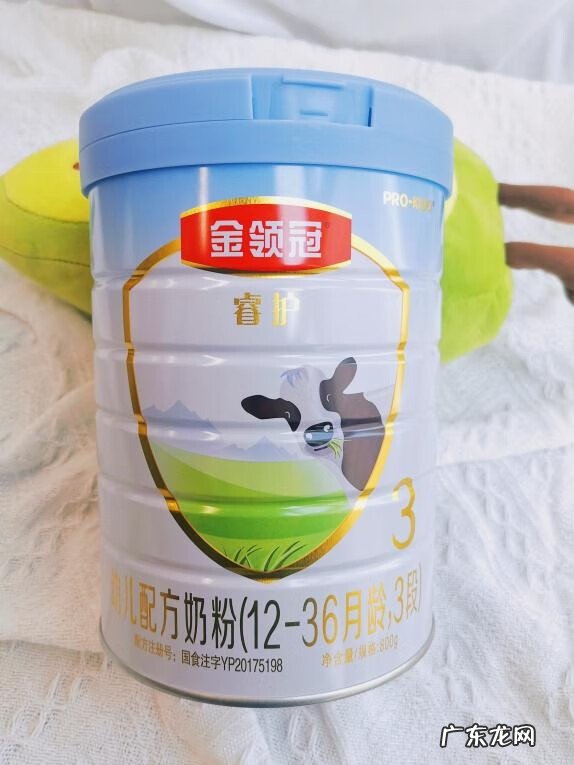 进口奶粉哪种比较好 进口什么奶粉好