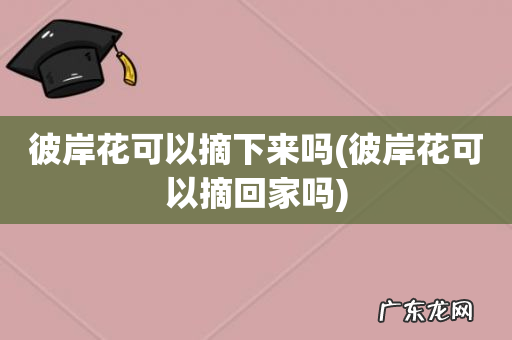 彼岸花可以摘回家吗 彼岸花可以摘下来吗