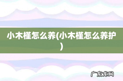 小木槿怎么养护 小木槿怎么养