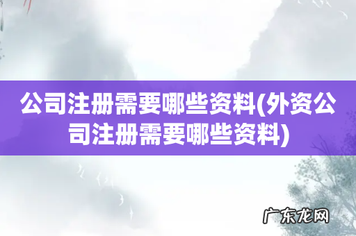 外资公司注册需要哪些资料 公司注册需要哪些资料