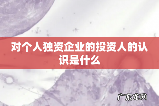 对个人独资企业的投资人的认识是什么