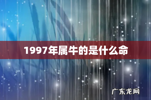 1997年属牛的是什么命