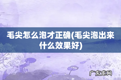 毛尖泡出来什么效果好 毛尖怎么泡才正确