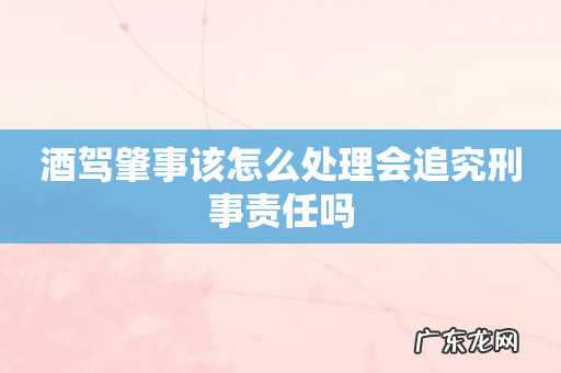 酒驾肇事该怎么处理会追究刑事责任吗