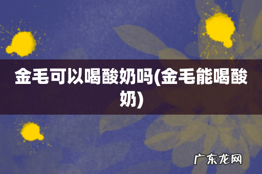 金毛能喝酸奶 金毛可以喝酸奶吗