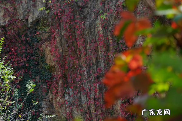 永城芒砀山六大景点图片 永城芒砀山特产