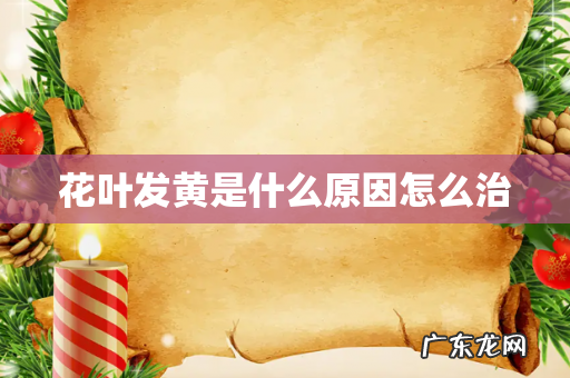花叶发黄是什么原因怎么治