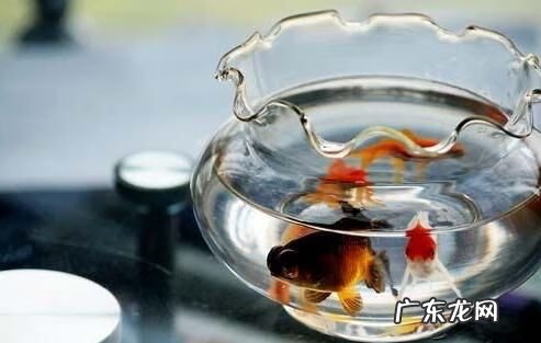 看风水的工具有哪些 风水常用工具