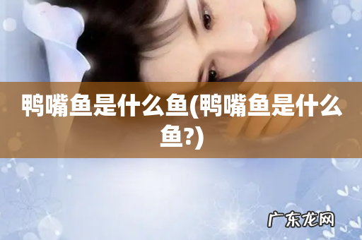 鸭嘴鱼是什么鱼? 鸭嘴鱼是什么鱼