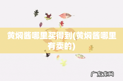 黄焖酱哪里有卖的 黄焖酱哪里买得到