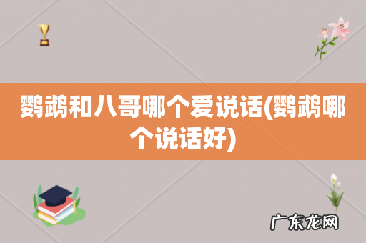 鹦鹉哪个说话好 鹦鹉和八哥哪个爱说话