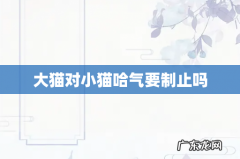 大猫对小猫哈气要制止吗