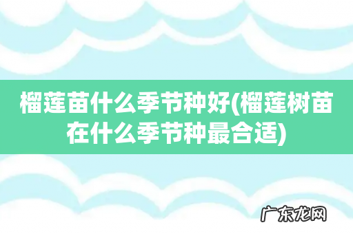 榴莲树苗在什么季节种最合适 榴莲苗什么季节种好