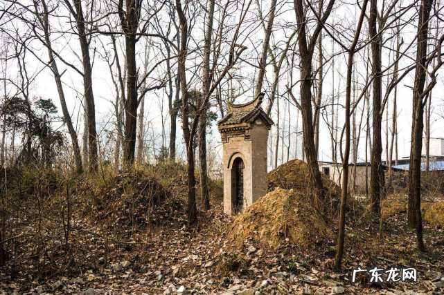 下葬时金井出现青蛙风水好吗