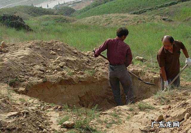 下葬时金井出现青蛙风水好吗