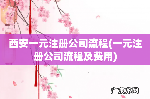 一元注册公司流程及费用 西安一元注册公司流程