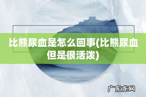 比熊尿血但是很活泼 比熊尿血是怎么回事