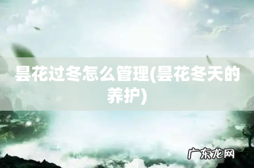 昙花冬天的养护 昙花过冬怎么管理