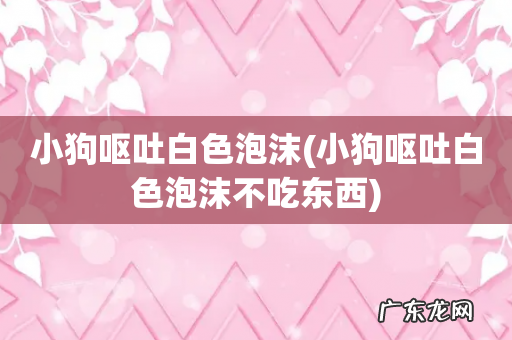 小狗呕吐白色泡沫不吃东西 小狗呕吐白色泡沫