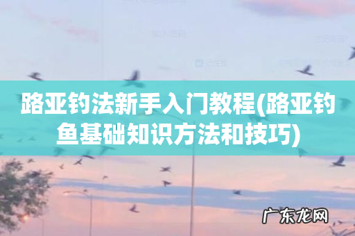 路亚钓鱼基础知识方法和技巧 路亚钓法新手入门教程