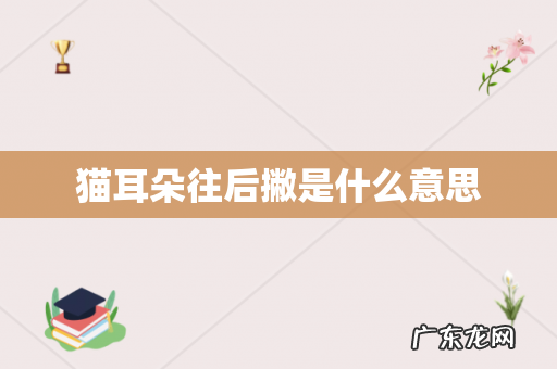 猫耳朵往后撇是什么意思