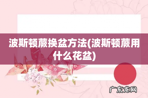 波斯顿蕨用什么花盆 波斯顿蕨换盆方法