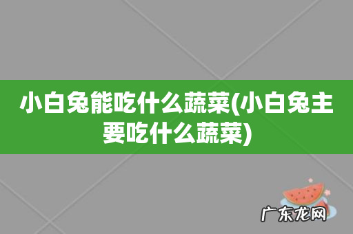 小白兔主要吃什么蔬菜 小白兔能吃什么蔬菜