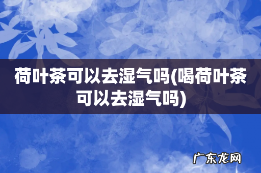 喝荷叶茶可以去湿气吗 荷叶茶可以去湿气吗
