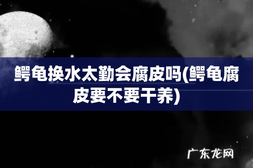鳄龟腐皮要不要干养 鳄龟换水太勤会腐皮吗