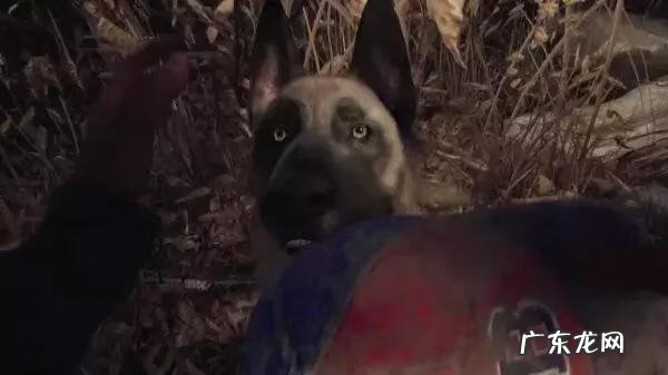 黑暗魔法之女巫传奇 堕落女巫传奇英雄仆从