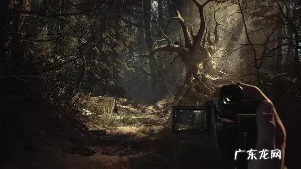 黑暗魔法之女巫传奇 堕落女巫传奇英雄仆从