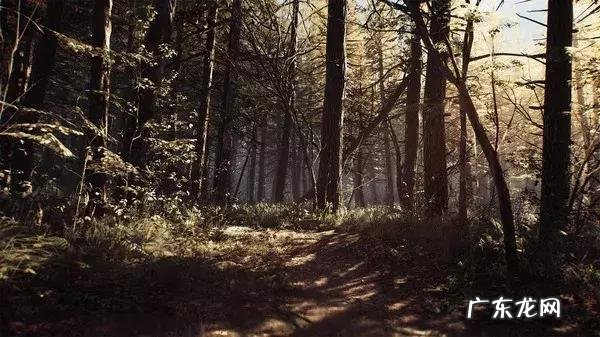 黑暗魔法之女巫传奇 堕落女巫传奇英雄仆从